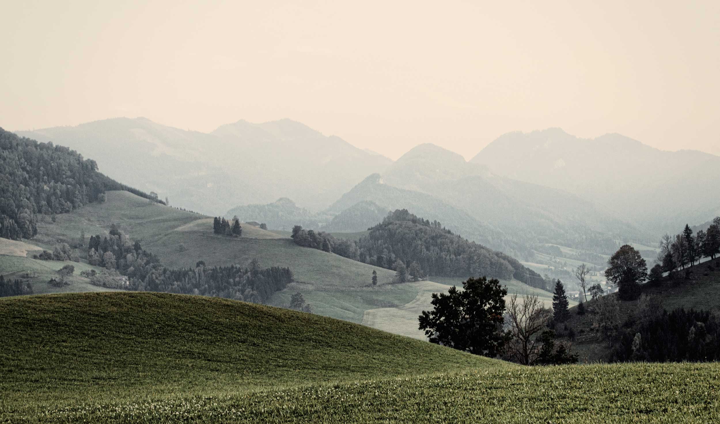 Hintergrundbild